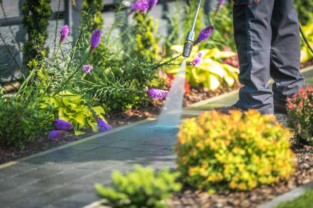 Best Pre-Holiday Cleaning  in St Cloud, FL